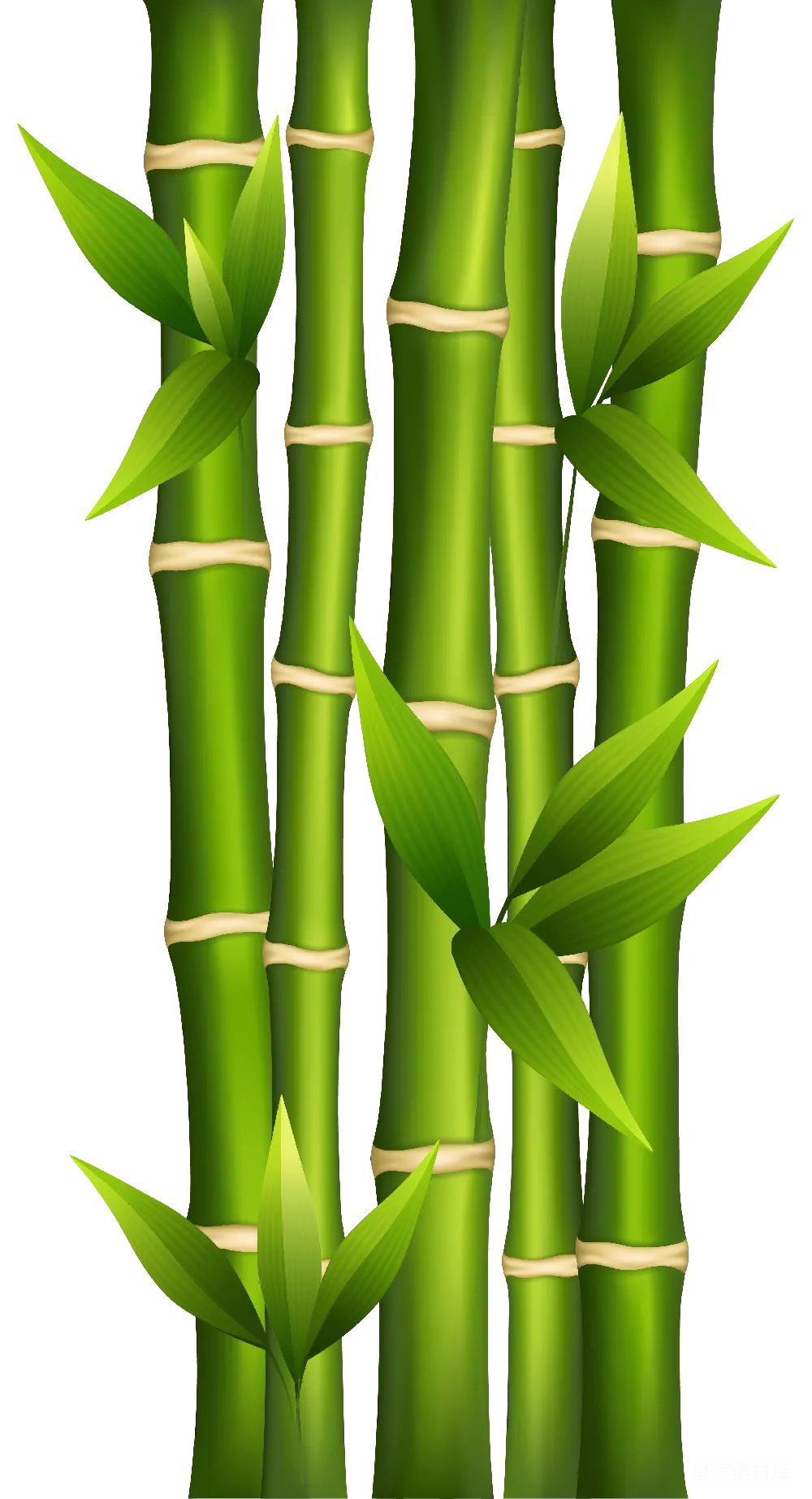 元素素材 竹子