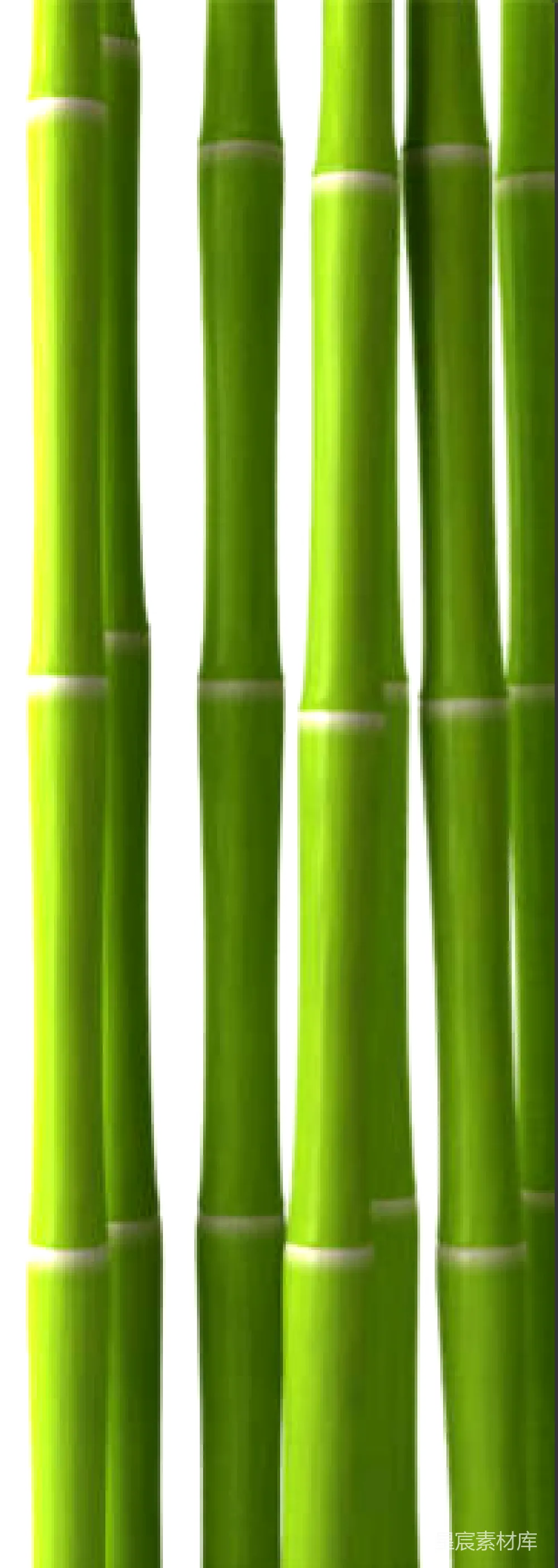 元素素材 元素 竹子