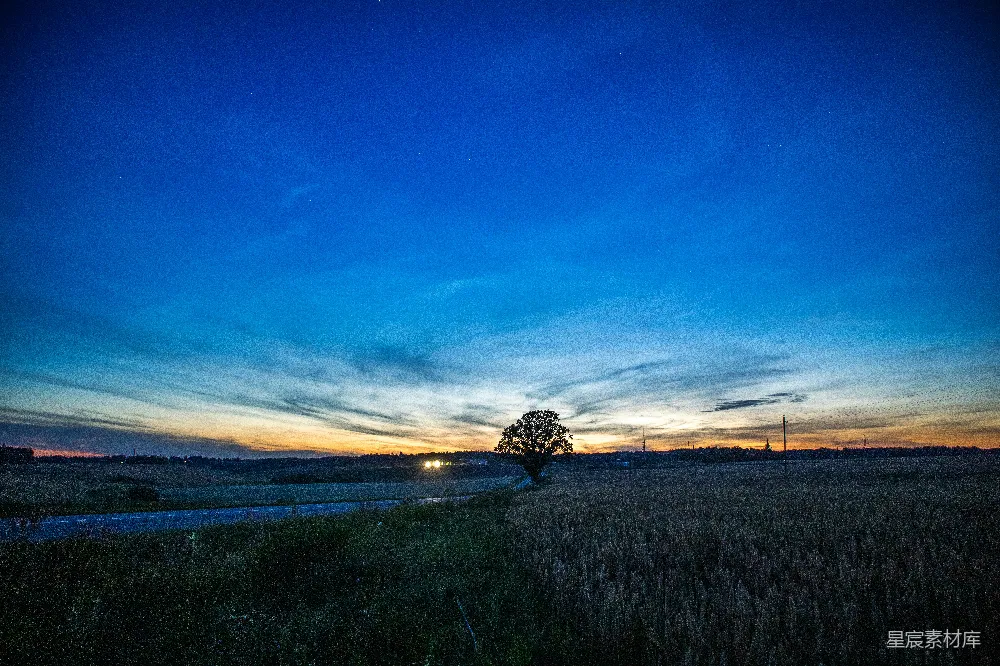 高清摄影 夕阳西下，一片麦田中。
