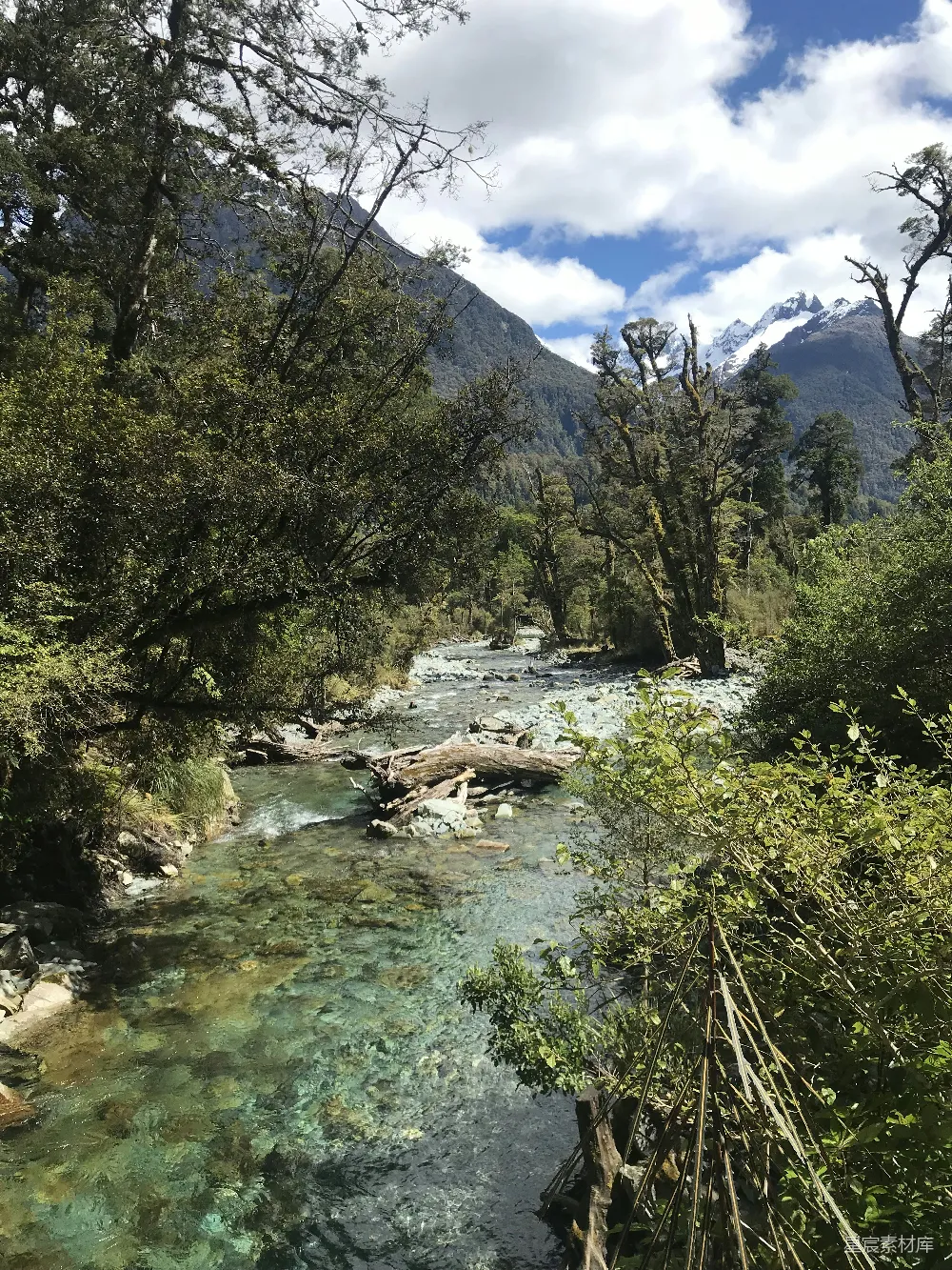 高清摄影  白天树木之间的水面风景照