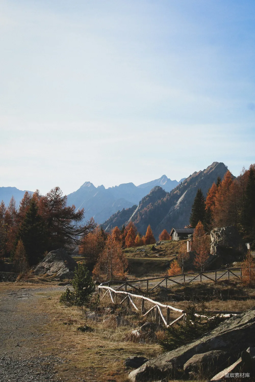 高清摄影 山峦背景中有一片树木的风景图