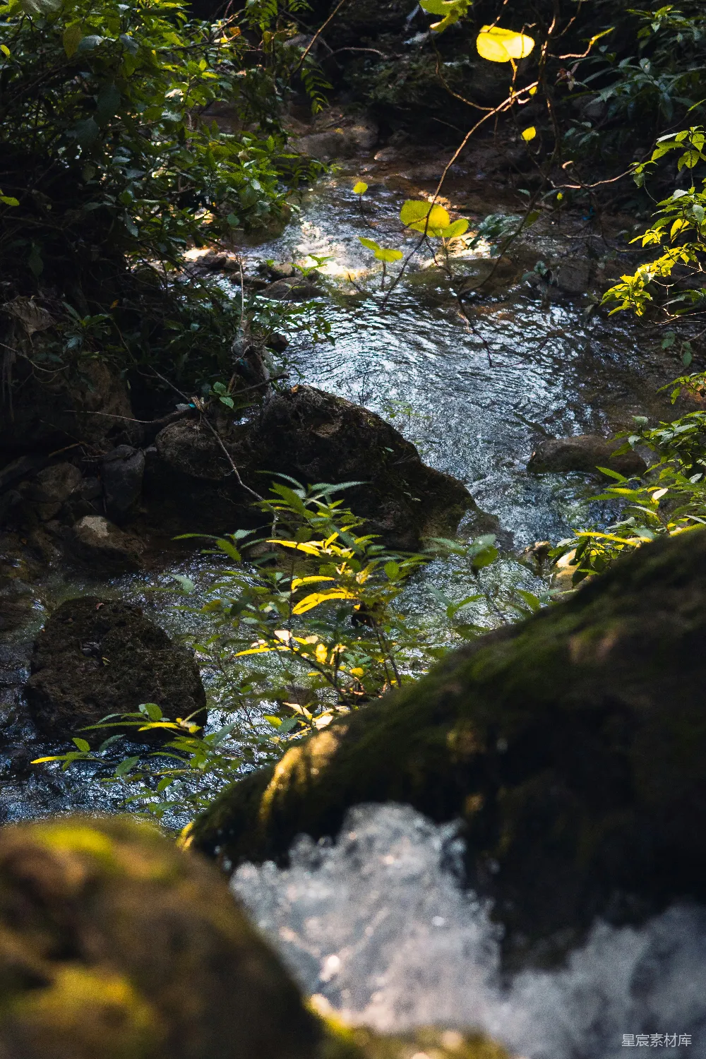 高清摄影 一条流淌在茂密绿色森林中的溪流