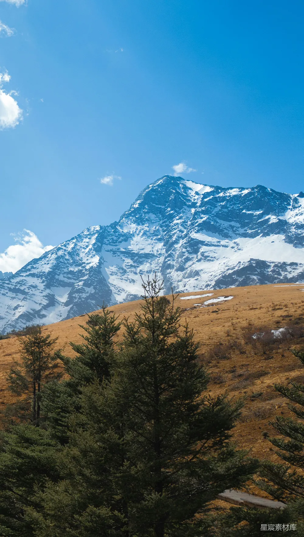 高清摄影  山峰覆盖着白雪，前景中有树木。