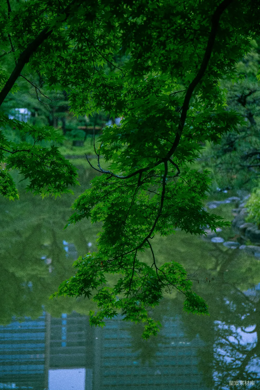 高清摄影 一棵树下有一张凳子，旁边是一片水域。