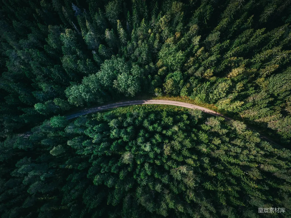高清摄影 壁纸 绿树环绕中的道路的空中俯瞰 shots
