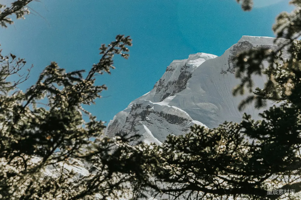 高清摄影 实验性 电影 旅行 自然 壁纸 透过一些树丛看去的一座被雪覆盖的山峦