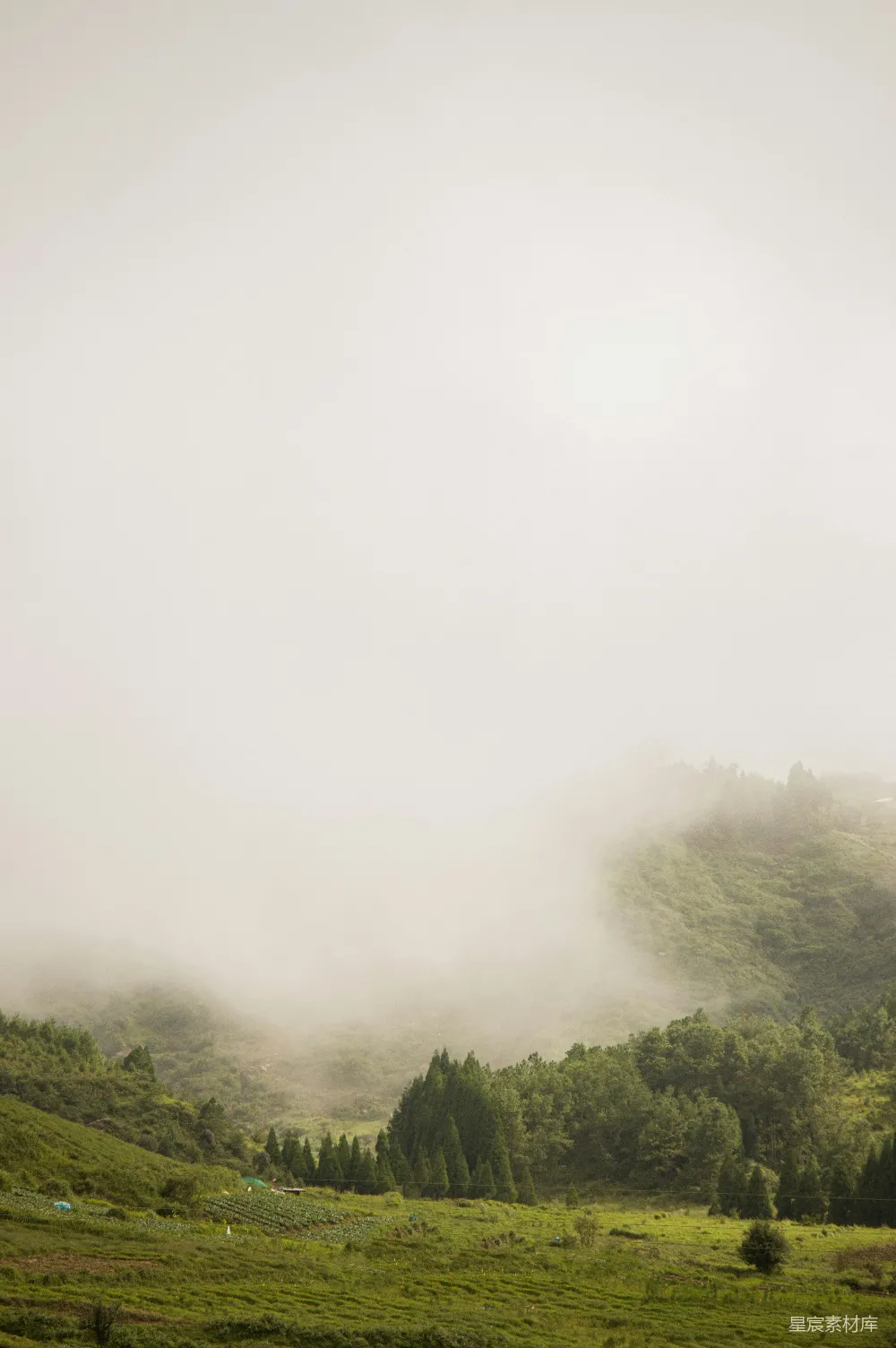 高清摄影 一片葱郁的山坡被雾和云笼罩着。