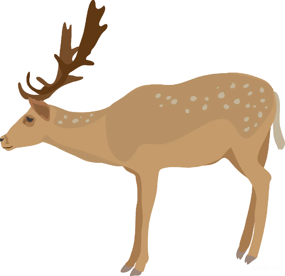 元素素材 元素 Moose