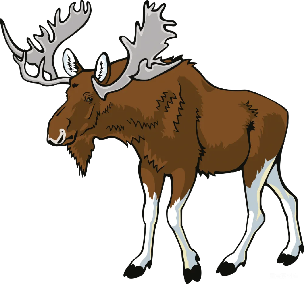 元素素材 Moose