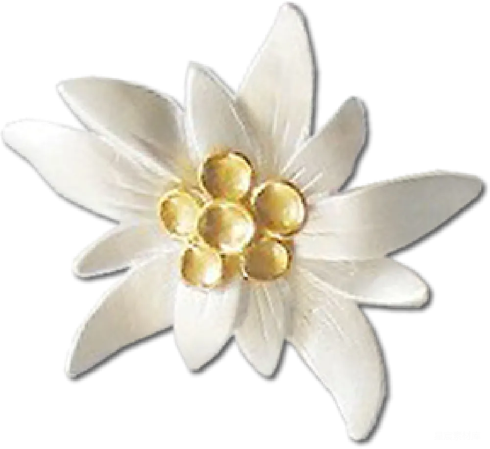 元素素材 元素 雏菊
