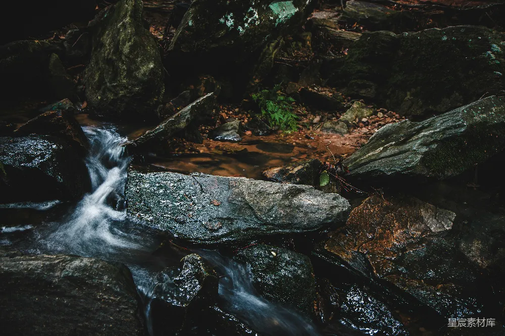 高清摄影  森林中的暗处有水流过岩石。