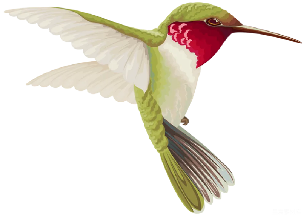 元素素材 元素 蜂鸟