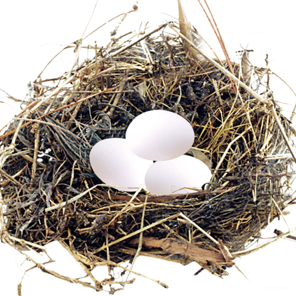 元素素材 元素 nest