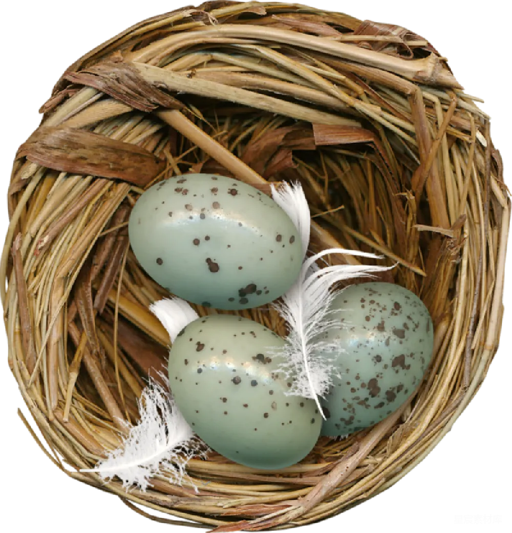 元素素材 Nest（巢）