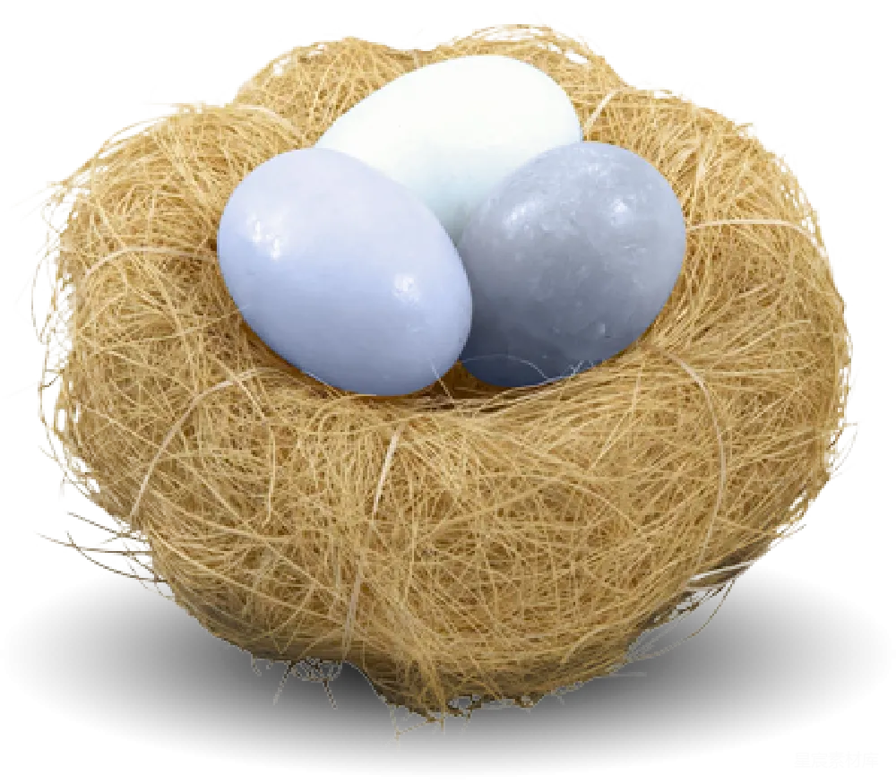 元素素材 元素 Nest（巢）