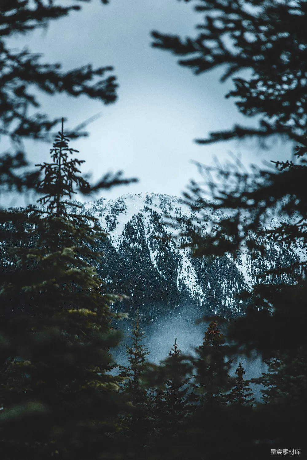 高清摄影 透过一些树木看的一处山景
