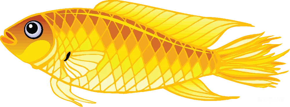 元素素材 金鱼