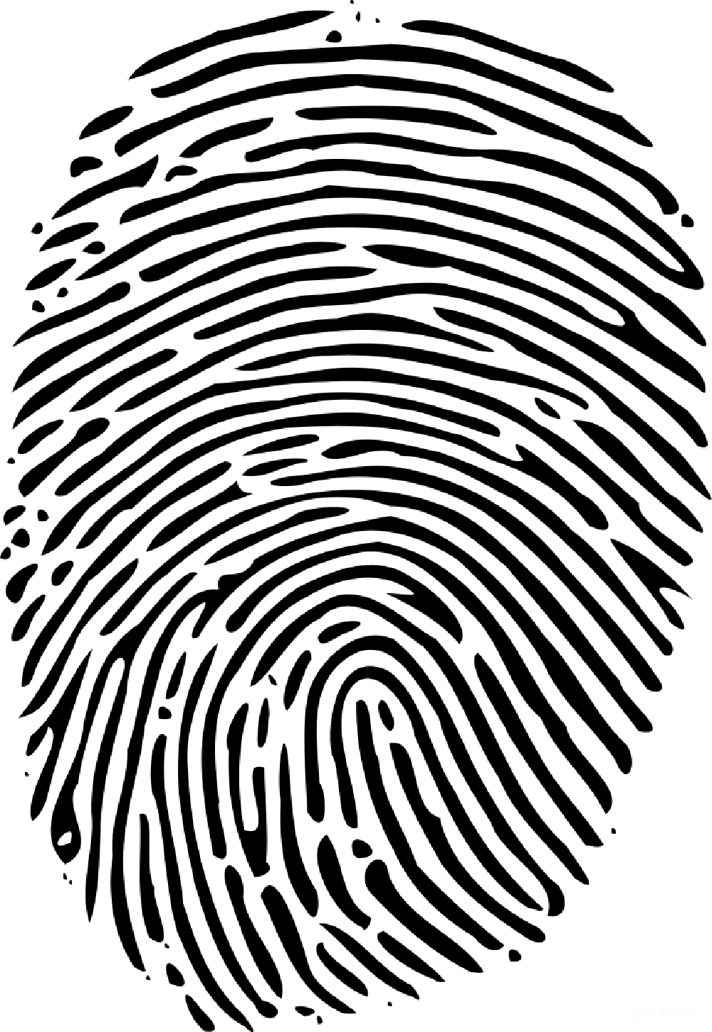 元素素材 元素 透明