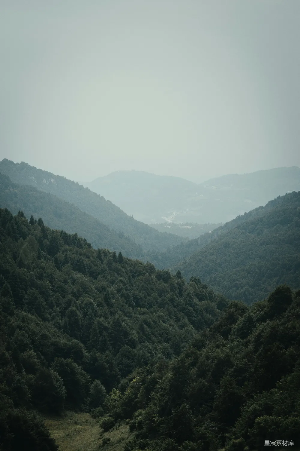 高清摄影  雾山山脉覆盖着茂密的绿色森林