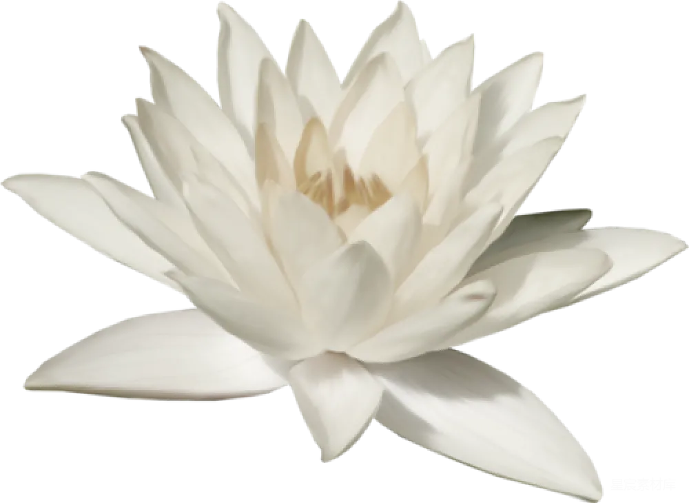 元素素材 元素 莲花
