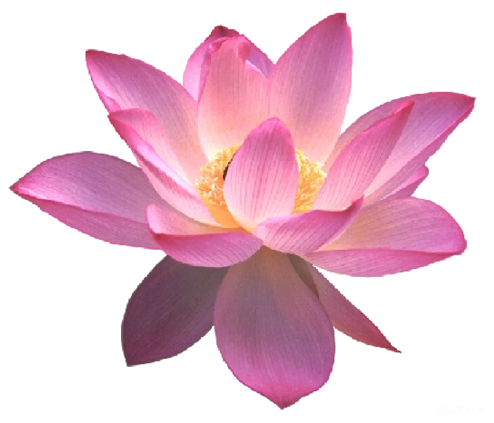 元素素材 元素 水
