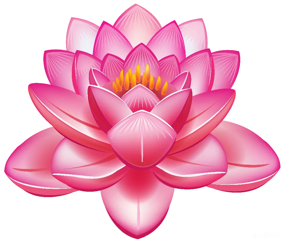 元素素材 莲花
