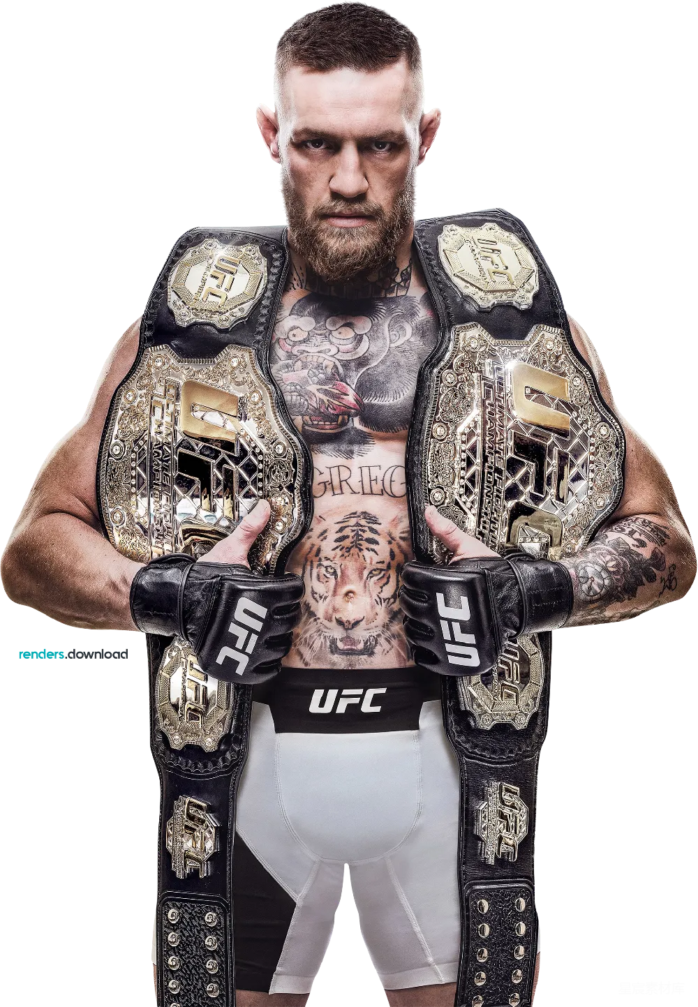 元素素材 UFC 冠军 格雷西 UFC冠军格雷西的荣耀时刻