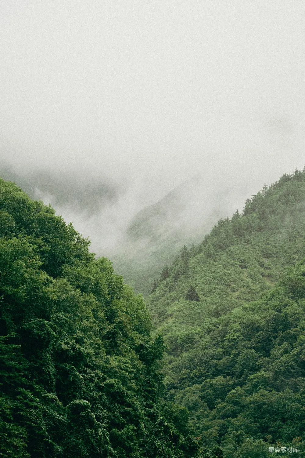 高清摄影 自然 雾蒙蒙的山，树木葱茏