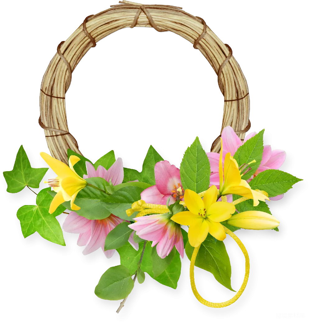 元素素材 元素 花卉