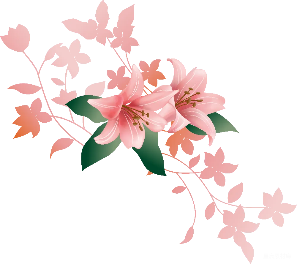 元素素材 花卉 插图 自然 粉红色百合花插图
