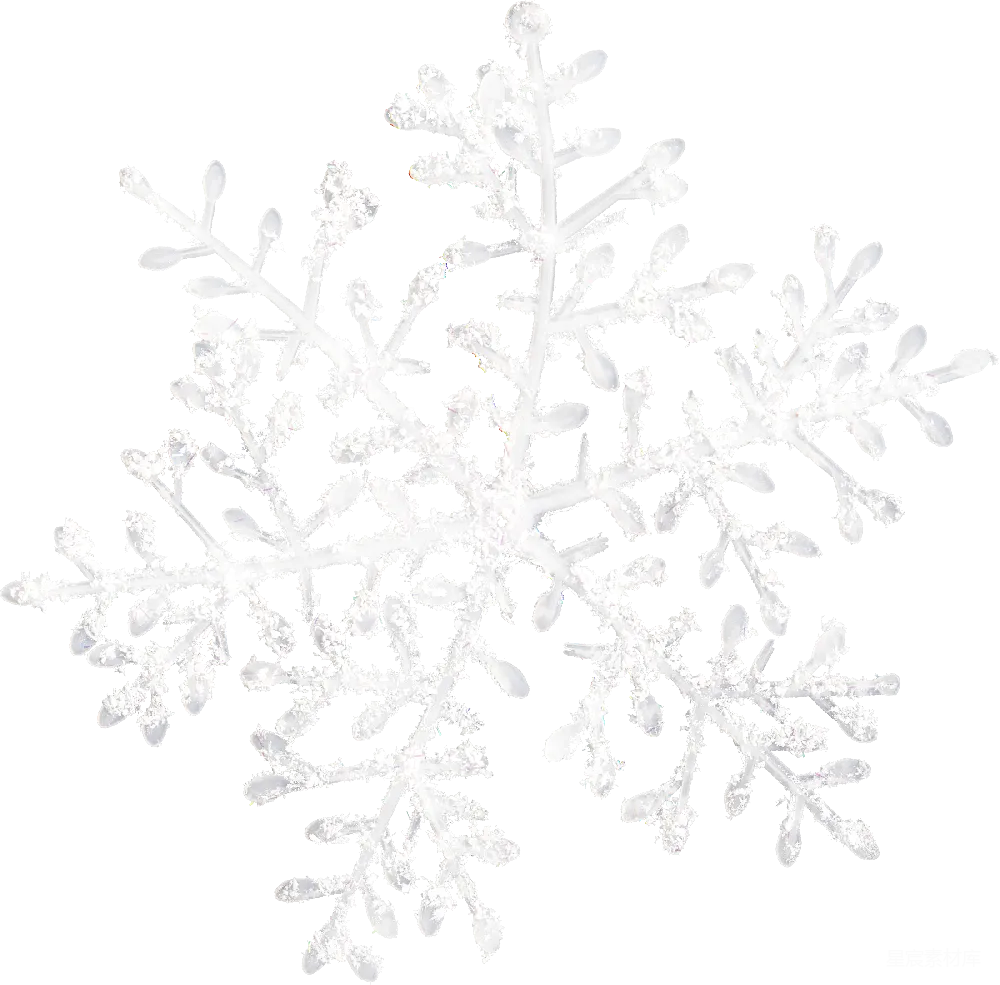 元素素材 雪花