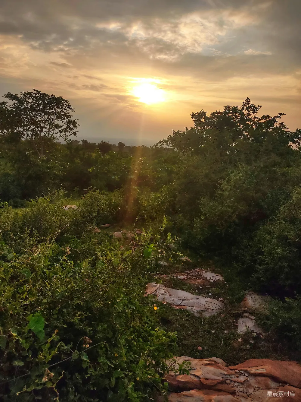 高清摄影 夕阳西下，映红了树木与岩石。