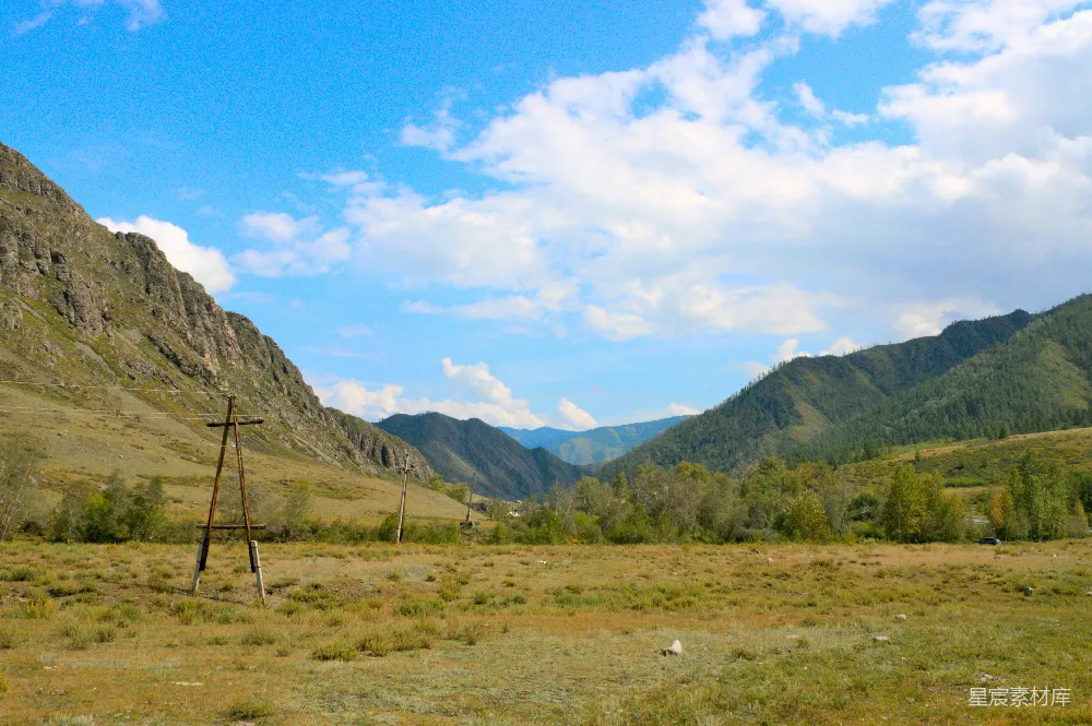 高清摄影  背景是山脉的草地.field前添加了修饰语"grazing"以符合英文原句结构，故最终翻译为：有草地的背景是山脉的牧场。