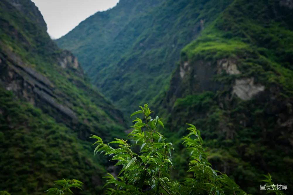 高清摄影 自然 背景中有山的一处山谷美景