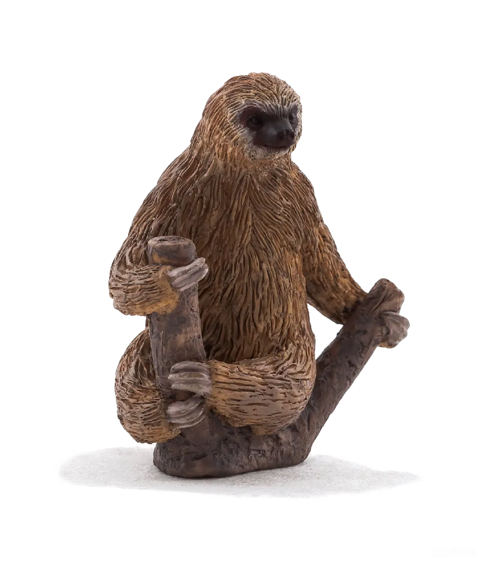 元素素材 PNG