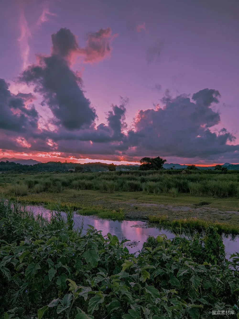 高清摄影 夕阳落下一片草甸之上