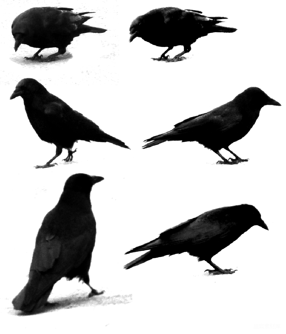 元素素材 元素 透明