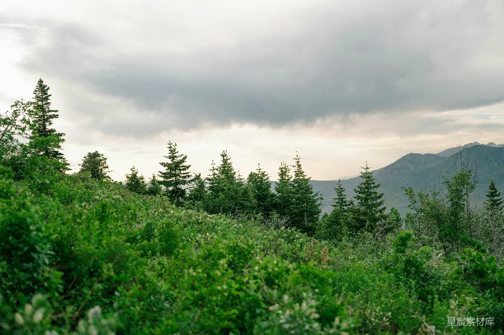 高清摄影  绿山 under a cloudy sky。