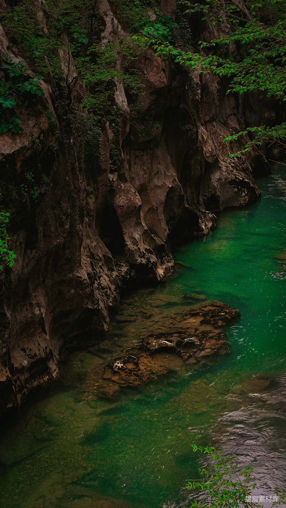 高清摄影 一条河流穿过一片浓绿的森林