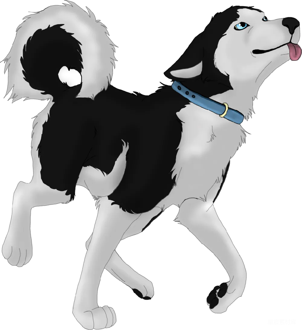 元素素材 元素 husky