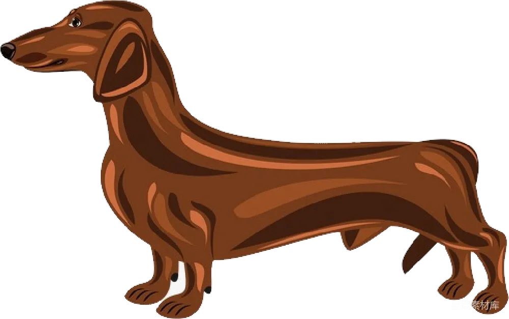 元素素材 卡通 动物 宠物 卡通腊肠犬
