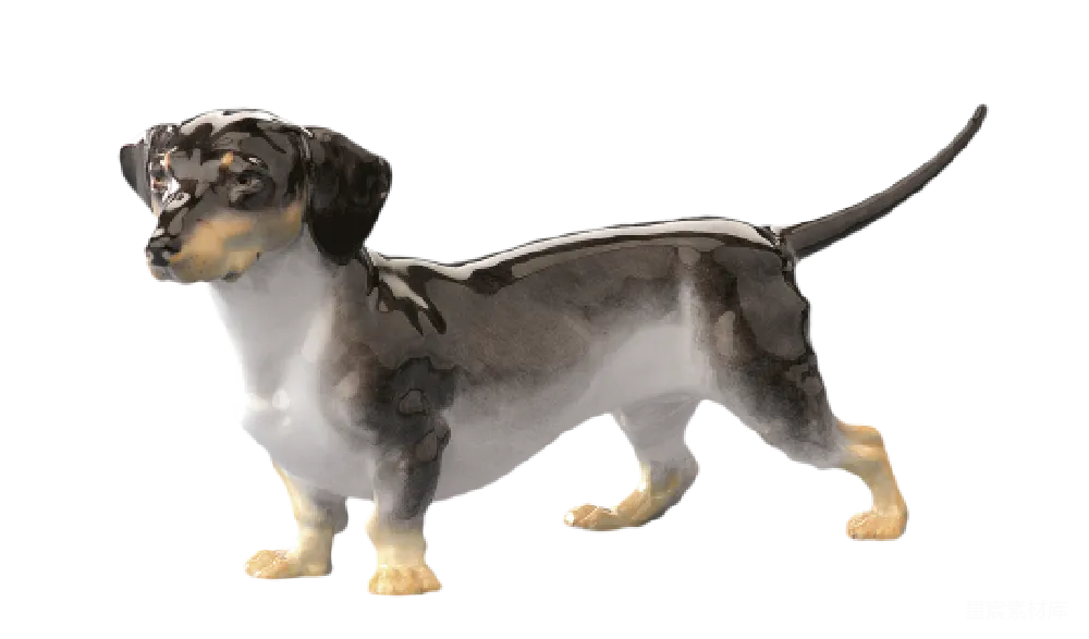 元素素材 元素 杜松犬