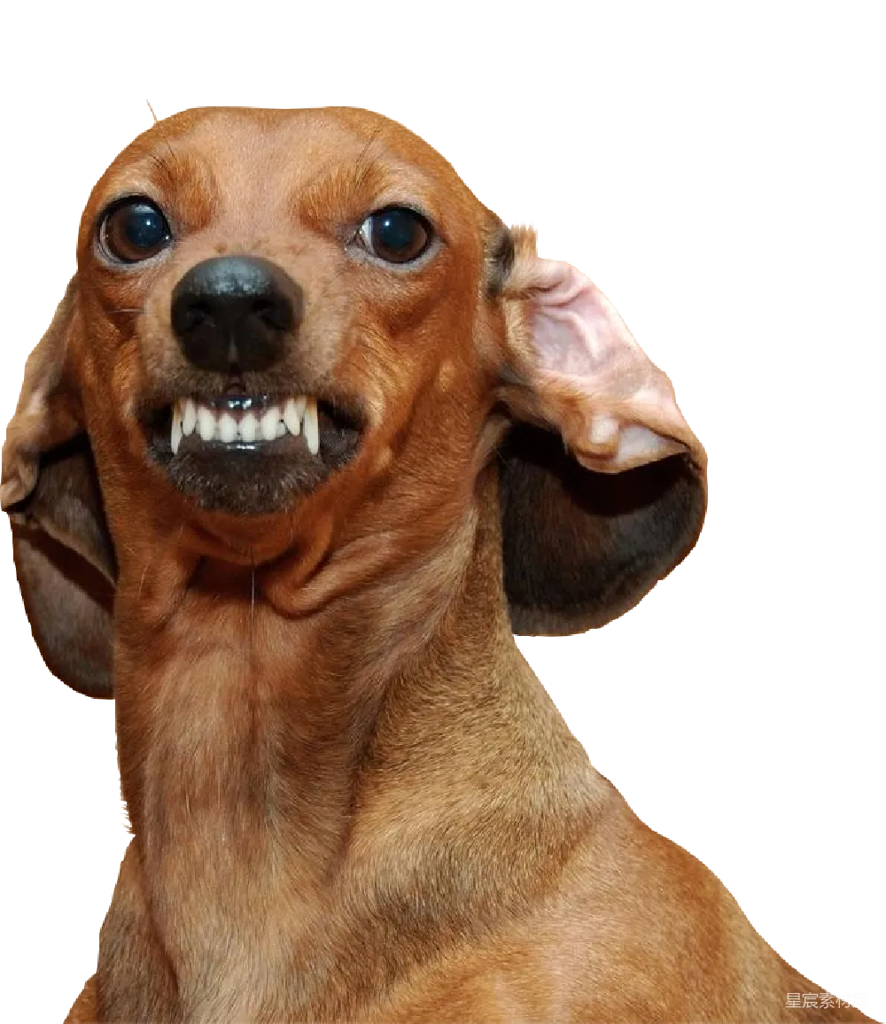 元素素材 元素 杜沙犬