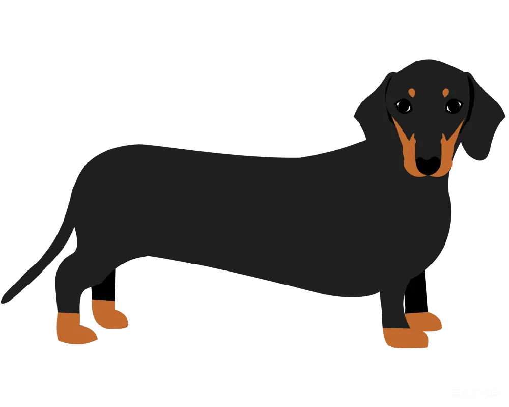 元素素材 黑色腊肠犬卡通插画