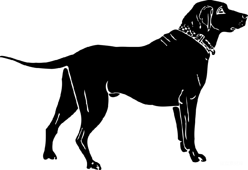 元素素材 拉布拉多