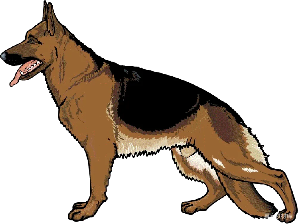 元素素材 德国牧羊犬的卡通插画