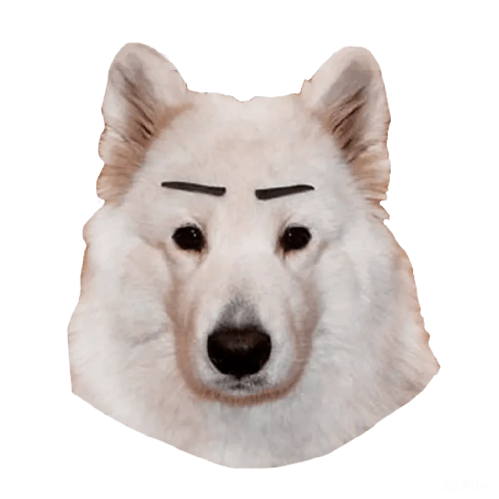元素素材 萨莫耶犬