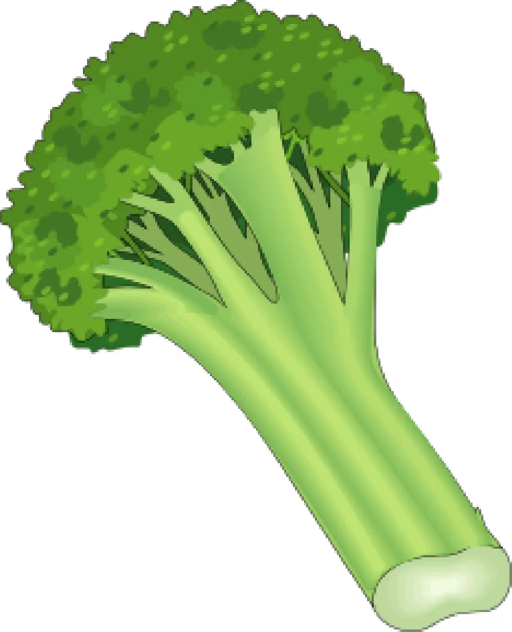 元素素材 西兰花