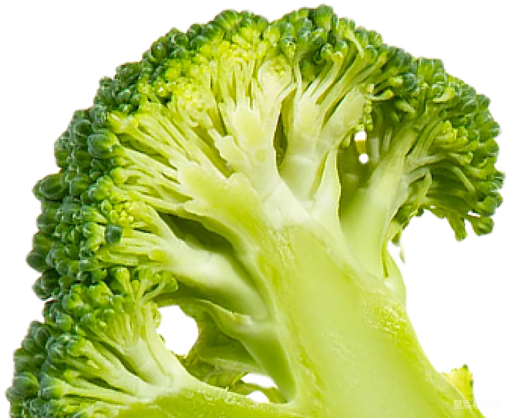 元素素材 西兰花