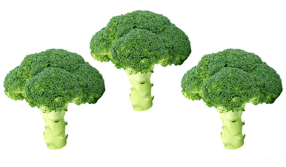 元素素材 西兰花